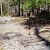 Review photo of Cosby Campground — Great Smoky Mountains National Park by Jean C., May 1, 2019