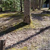 Review photo of Cosby Campground — Great Smoky Mountains National Park by Jean C., May 1, 2019