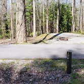 Review photo of Cosby Campground — Great Smoky Mountains National Park by Jean C., May 1, 2019