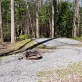 Review photo of Cosby Campground — Great Smoky Mountains National Park by Jean C., May 1, 2019