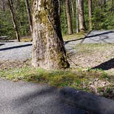 Review photo of Cosby Campground — Great Smoky Mountains National Park by Jean C., May 1, 2019