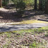 Review photo of Cosby Campground — Great Smoky Mountains National Park by Jean C., May 1, 2019