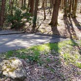 Review photo of Cosby Campground — Great Smoky Mountains National Park by Jean C., May 1, 2019