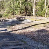 Review photo of Cosby Campground — Great Smoky Mountains National Park by Jean C., May 1, 2019