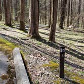 Review photo of Cosby Campground — Great Smoky Mountains National Park by Jean C., May 1, 2019