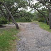 Review photo of Goose Island State Park Campground by Shelly S., August 29, 2016