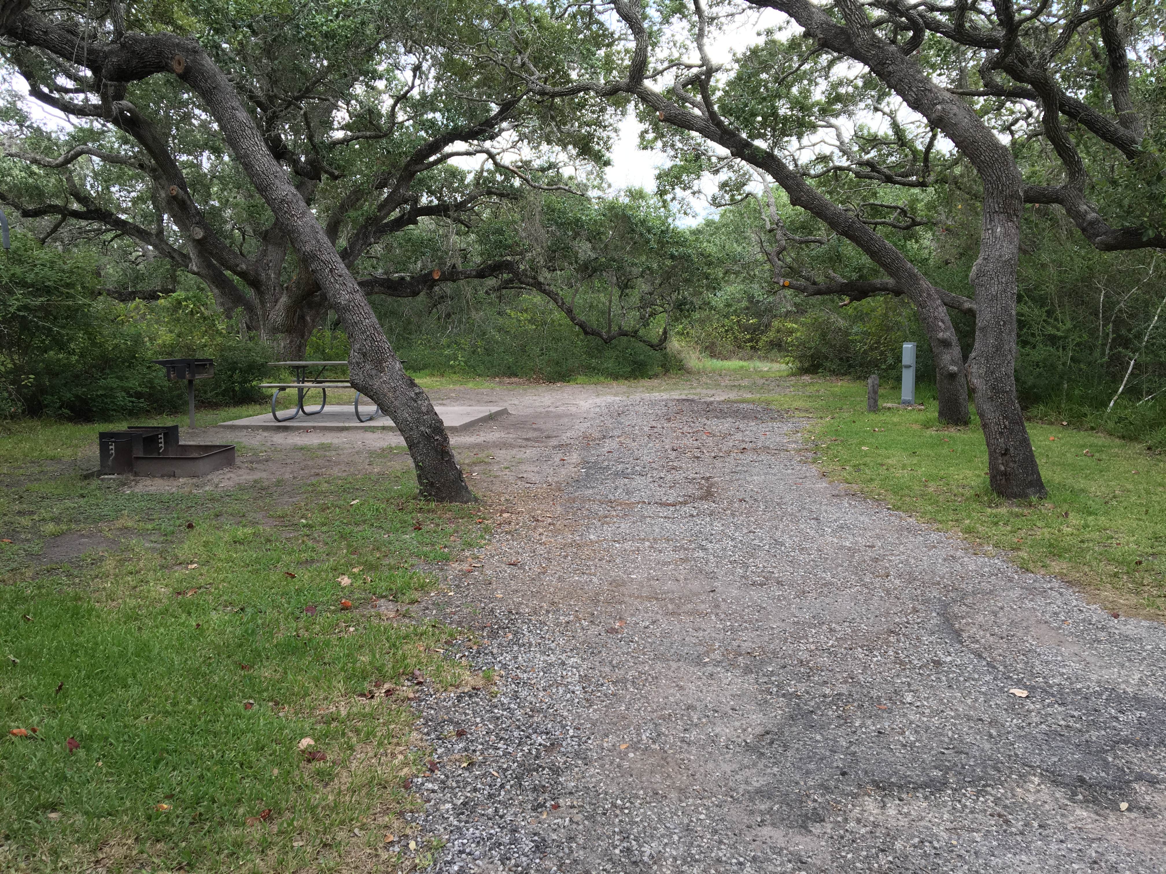 Camper submitted image from Goose Island State Park Campground - 2