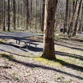 Review photo of Cosby Campground — Great Smoky Mountains National Park by Jean C., May 1, 2019