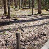 Review photo of Cosby Campground — Great Smoky Mountains National Park by Jean C., May 1, 2019