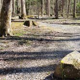 Review photo of Cosby Campground — Great Smoky Mountains National Park by Jean C., May 1, 2019