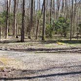 Review photo of Cosby Campground — Great Smoky Mountains National Park by Jean C., May 1, 2019