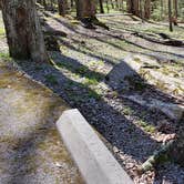 Review photo of Cosby Campground — Great Smoky Mountains National Park by Jean C., May 1, 2019