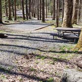 Review photo of Cosby Campground — Great Smoky Mountains National Park by Jean C., May 1, 2019