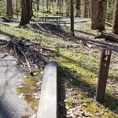 Review photo of Cosby Campground — Great Smoky Mountains National Park by Jean C., May 1, 2019