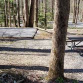 Review photo of Cosby Campground — Great Smoky Mountains National Park by Jean C., May 1, 2019