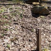 Review photo of Cosby Campground — Great Smoky Mountains National Park by Jean C., May 1, 2019