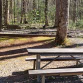 Review photo of Cosby Campground — Great Smoky Mountains National Park by Jean C., May 1, 2019