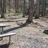 Review photo of Cosby Campground — Great Smoky Mountains National Park by Jean C., May 1, 2019