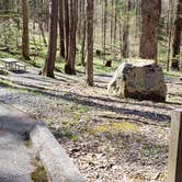 Review photo of Cosby Campground — Great Smoky Mountains National Park by Jean C., May 1, 2019