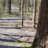 Review photo of Cosby Campground — Great Smoky Mountains National Park by Jean C., May 1, 2019