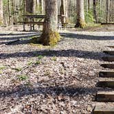Review photo of Cosby Campground — Great Smoky Mountains National Park by Jean C., May 1, 2019