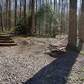 Review photo of Cosby Campground — Great Smoky Mountains National Park by Jean C., May 1, 2019