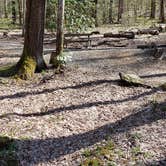 Review photo of Cosby Campground — Great Smoky Mountains National Park by Jean C., May 1, 2019