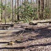 Review photo of Cosby Campground — Great Smoky Mountains National Park by Jean C., May 1, 2019