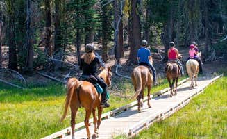 The Dyrt's photo of camping with a horse at Summit Lake Stock Corral near Whitmore, CA