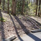 Review photo of Cosby Campground — Great Smoky Mountains National Park by Jean C., May 1, 2019