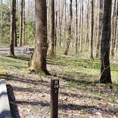 Review photo of Cosby Campground — Great Smoky Mountains National Park by Jean C., May 1, 2019