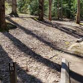 Review photo of Cosby Campground — Great Smoky Mountains National Park by Jean C., May 1, 2019
