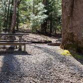 Review photo of Cosby Campground — Great Smoky Mountains National Park by Jean C., May 1, 2019