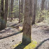 Review photo of Cosby Campground — Great Smoky Mountains National Park by Jean C., May 1, 2019