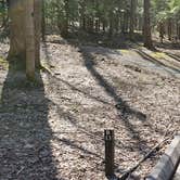 Review photo of Cosby Campground — Great Smoky Mountains National Park by Jean C., May 1, 2019