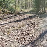 Review photo of Cosby Campground — Great Smoky Mountains National Park by Jean C., May 1, 2019