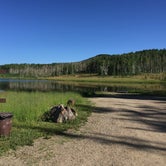 Review photo of Freeman Reservoir Campground by Talia J., August 2, 2015