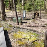 Review photo of Cosby Campground — Great Smoky Mountains National Park by Jean C., May 1, 2019