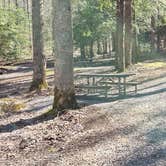 Review photo of Cosby Campground — Great Smoky Mountains National Park by Jean C., May 1, 2019