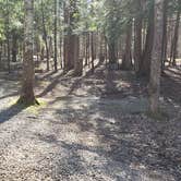 Review photo of Cosby Campground — Great Smoky Mountains National Park by Jean C., May 1, 2019