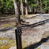 Review photo of Cosby Campground — Great Smoky Mountains National Park by Jean C., May 1, 2019