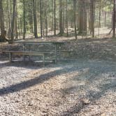 Review photo of Cosby Campground — Great Smoky Mountains National Park by Jean C., May 1, 2019