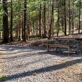 Review photo of Cosby Campground — Great Smoky Mountains National Park by Jean C., May 1, 2019