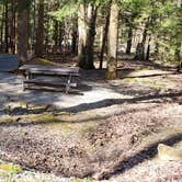Review photo of Cosby Campground — Great Smoky Mountains National Park by Jean C., May 1, 2019