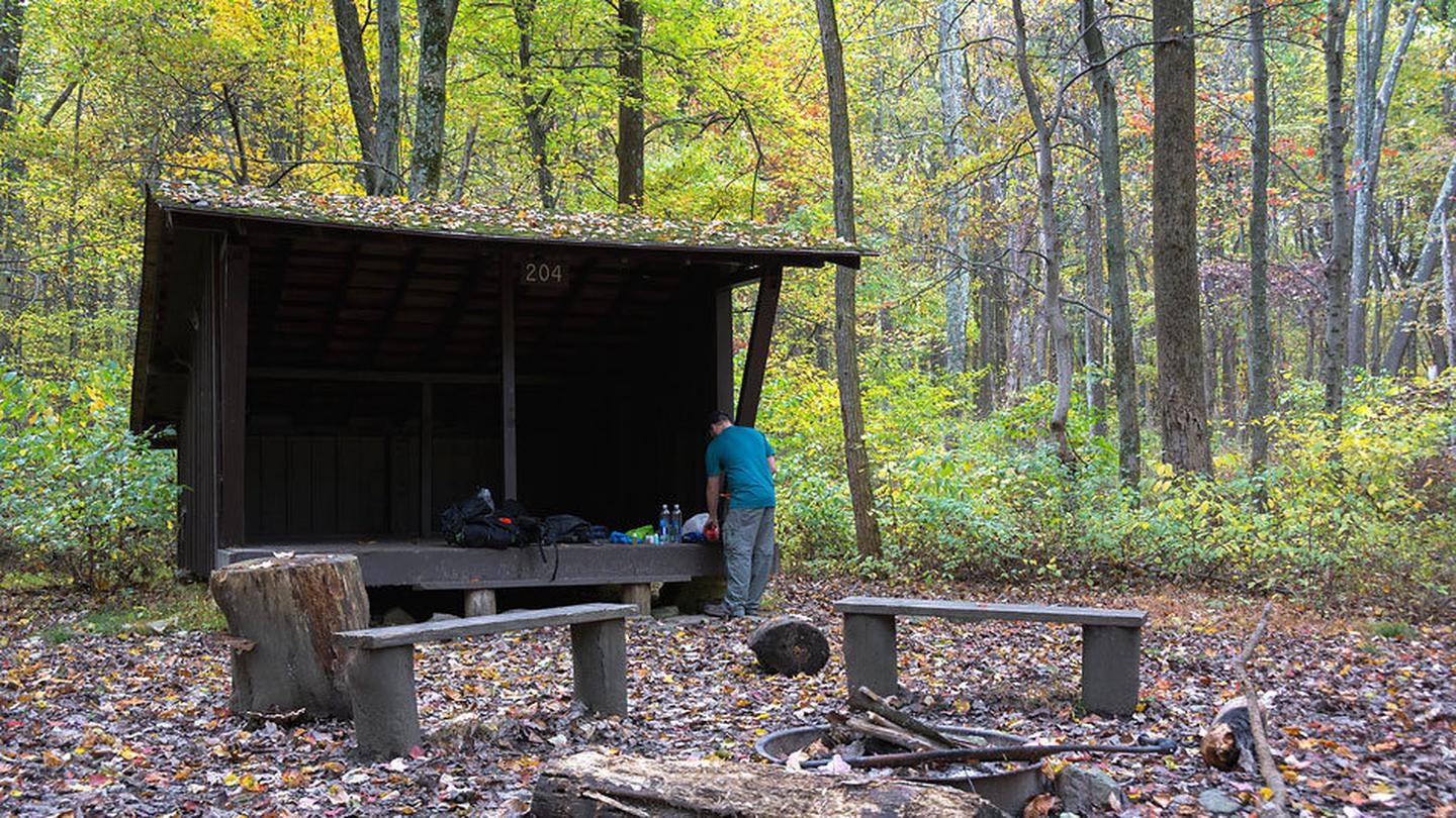 Camper submitted image from Adirondack Shelters — Catoctin Mountain Park - 1