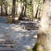 Review photo of Cosby Campground — Great Smoky Mountains National Park by Jean C., May 1, 2019