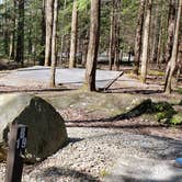 Review photo of Cosby Campground — Great Smoky Mountains National Park by Jean C., May 1, 2019