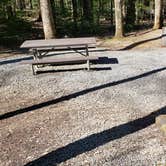 Review photo of Cosby Campground — Great Smoky Mountains National Park by Jean C., May 1, 2019