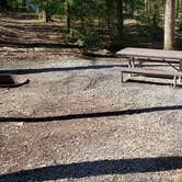 Review photo of Cosby Campground — Great Smoky Mountains National Park by Jean C., May 1, 2019