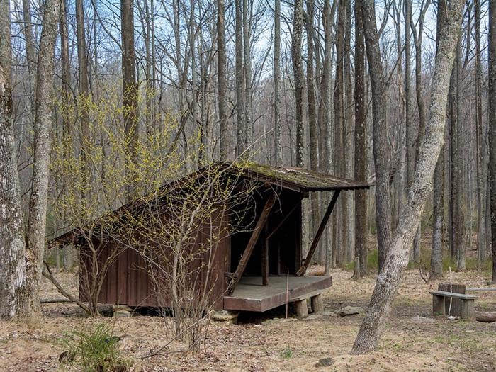 Camper submitted image from Adirondack Shelters — Catoctin Mountain Park - 4